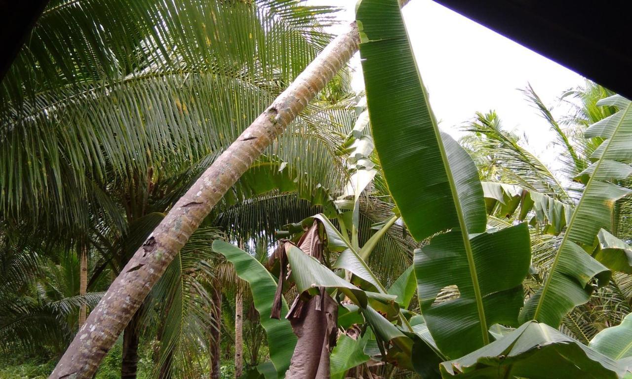 Вілла Butterfly House, Libertad, General Luna, Siargao, Filipinas Хенераль-Луна Екстер'єр фото